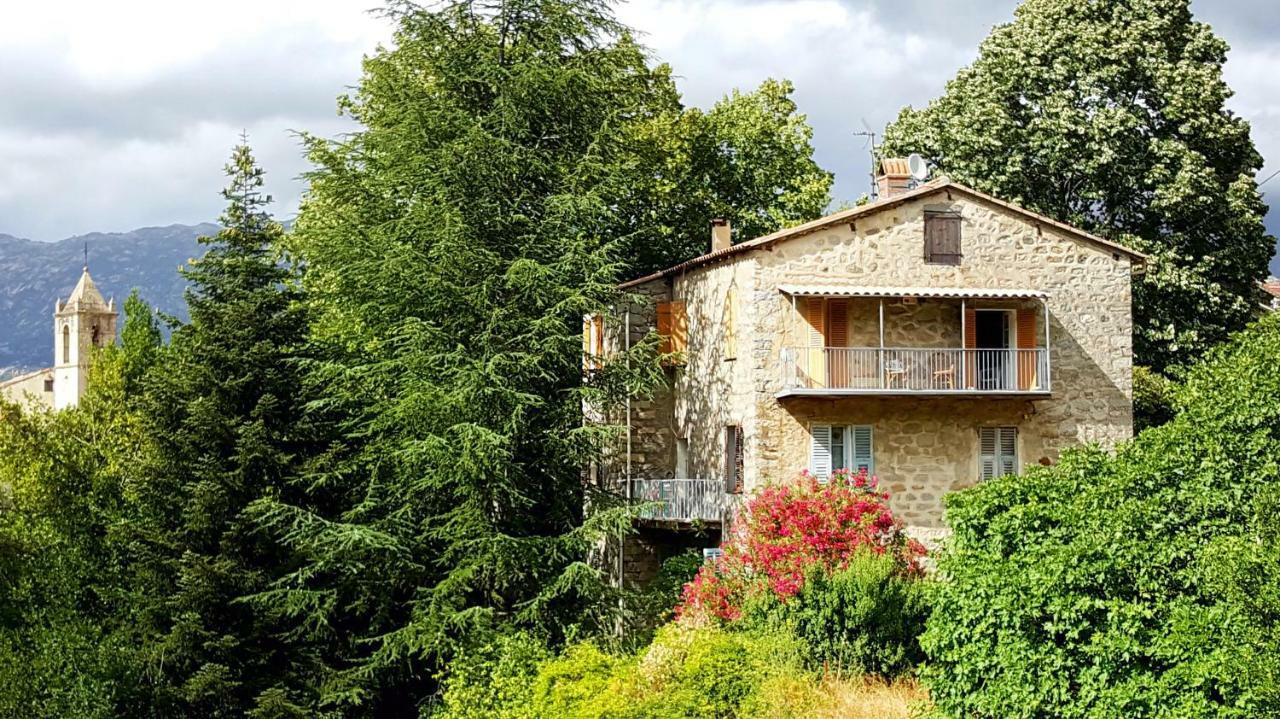 Ferienwohnung Housica & Co 2 Ucciani Exterior foto